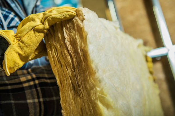 Best Specialized Insulation Services in Bermuda Dunes, CA